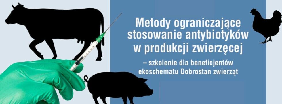 bezpłatne szkolenie - ekoschemat „dobrostan zwierząt”