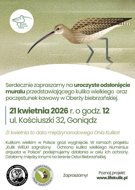 zaproszenie na odsłonięcie muralu kulika wielkiego - kościuszki 32, goniądz