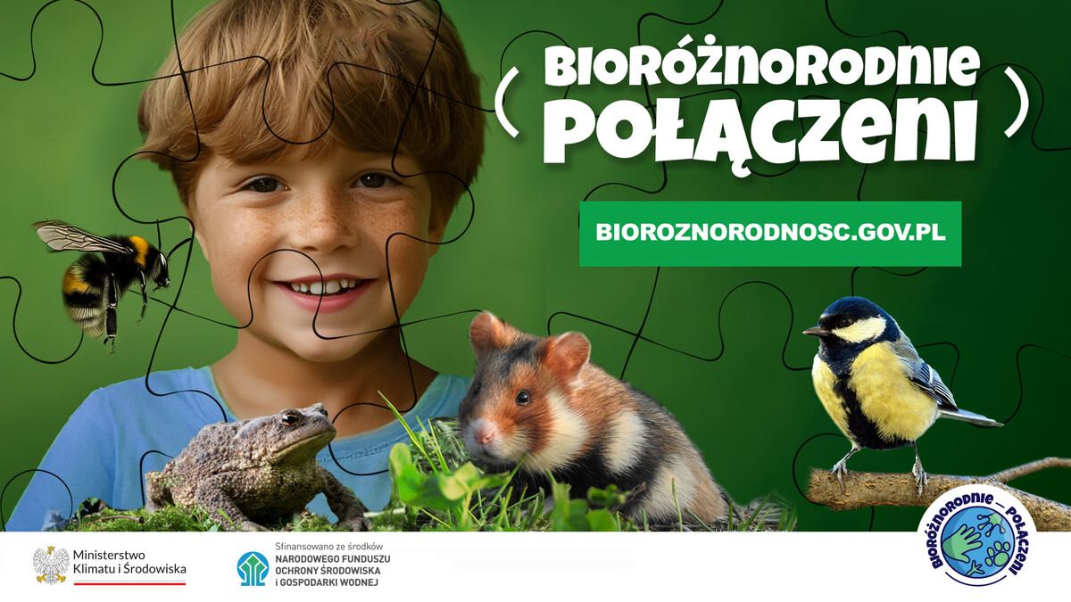 bioróżnorodnie połączeni - kampania ministerstwa klimatu i środowiska