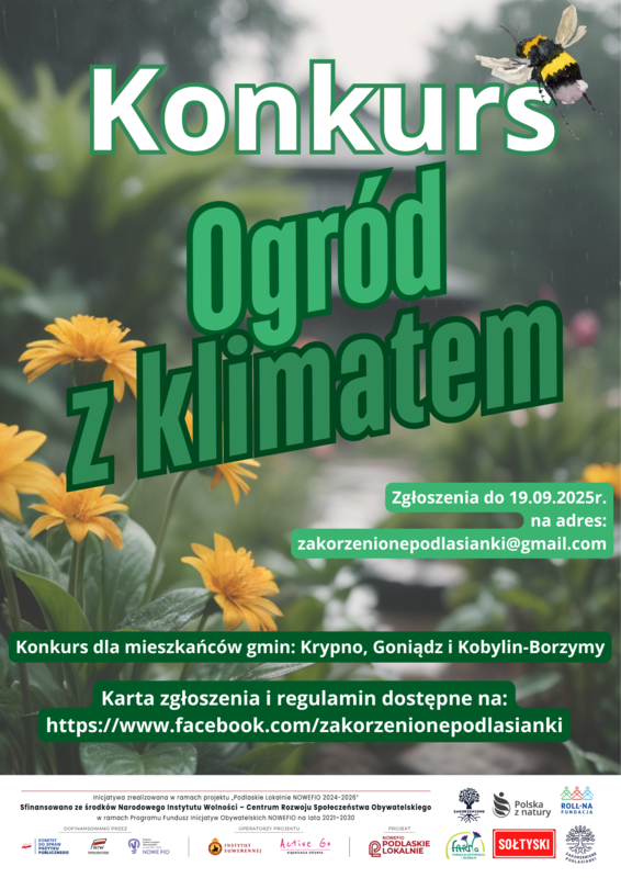 konkurs 