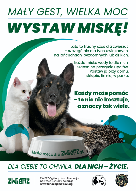 mały gest, wielka moc – wystaw miskę!
